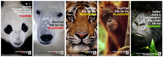 Save The Endangered Animals From Having Their #LastSelfie | Loyola Digital  Advertising [로욜라 디지털 광고]